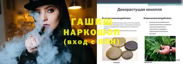 ГАЛЛЮЦИНОГЕННЫЕ ГРИБЫ Майский