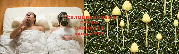 мет Магас