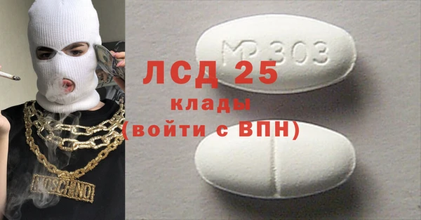 ГАЛЛЮЦИНОГЕННЫЕ ГРИБЫ Майский