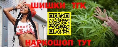 гидра Беслан