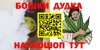 гидра Беслан