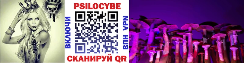 Псилоцибиновые грибы Cubensis  Назрань 