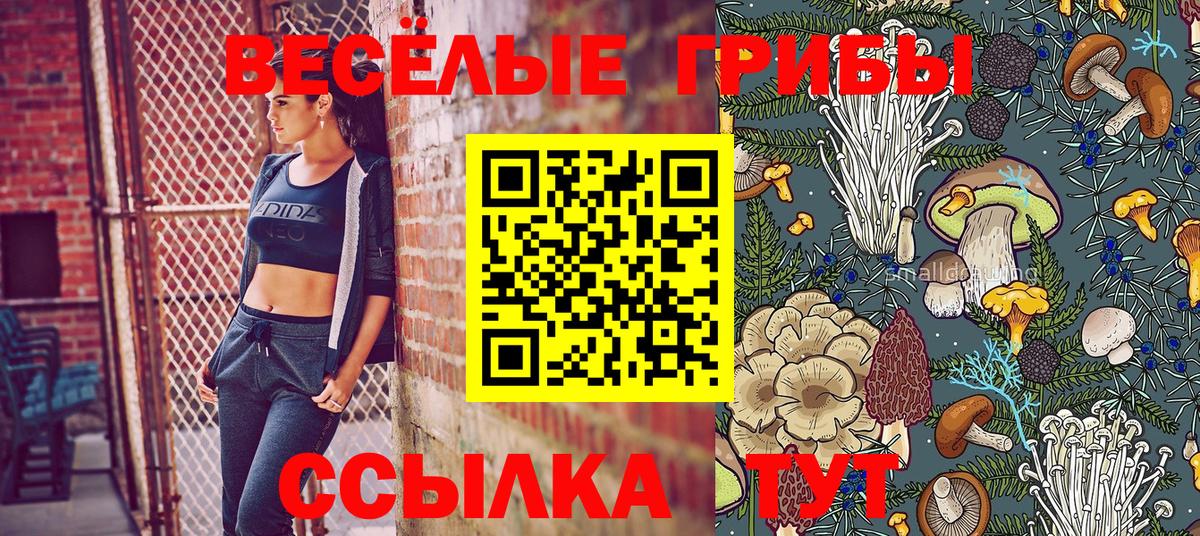 Галлюциногенные грибы Magic Shrooms  Назрань 